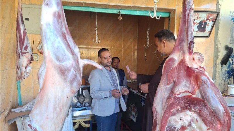 حملة تفتشية بأسوان