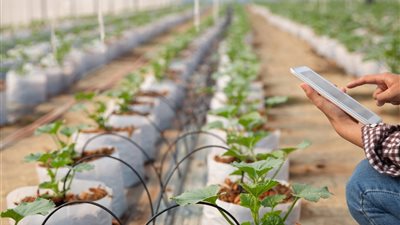 مستشار وزير الري السابق: مشروع جنوب الوادي يعتمد أحدث تقنيات الري.. خاص