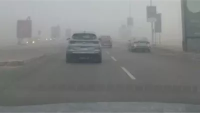 شبورة كثيفة تضرب القاهرة والوجه البحري.. وتحذيرات للسائقين من الضباب