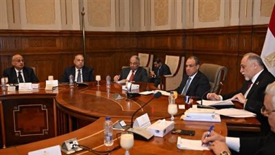 وزير الخارجية: مصر تضع خطوطا حمراء لحماية حقوقها المائية ووحدة السودان وغزة