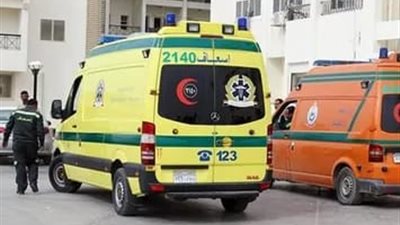 إصابة 4 طلاب في تصادم سيارتين بمدخل قرية الحواتكة بمنفلوط بأسيوط
