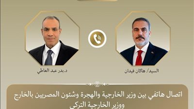 وزير الخارجية يبحث مع نظيره التركي خفض التصعيد في سوريا.. وترتيب زيارة لأردوغان لمصر