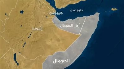 وزير خارجية أرض الصومال: اعتراف إسرائيل بنا لم يتناول تهجير سكان غزة