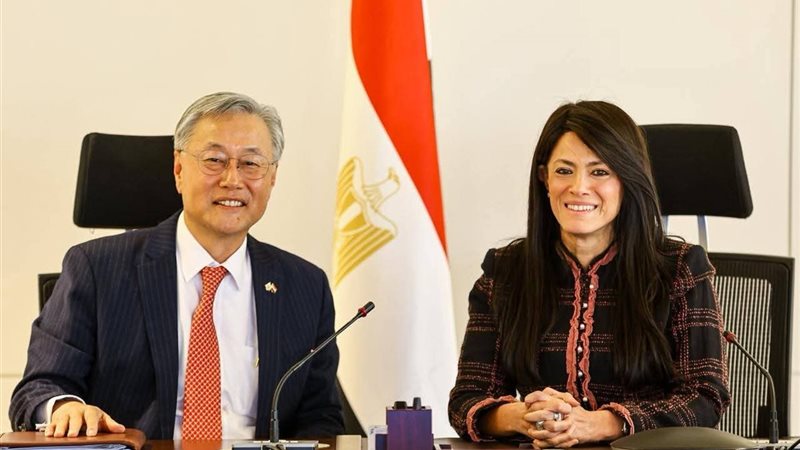 لقاء وزيرة التخطيط