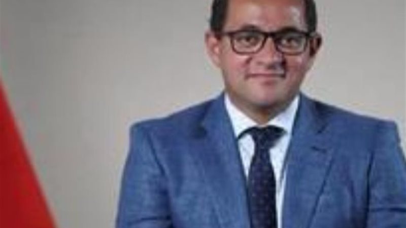 وزير المالية