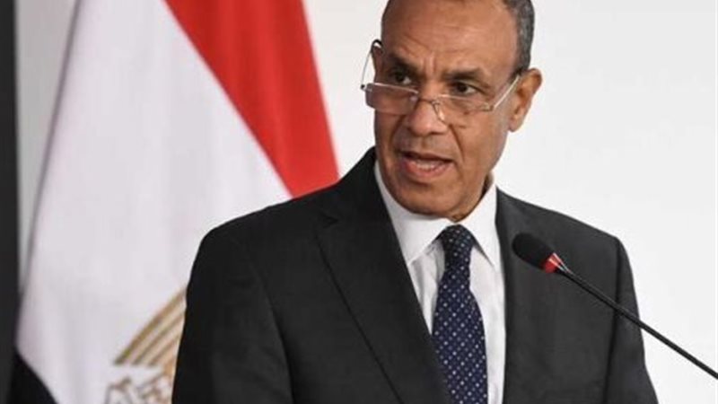 السفير بدر عبد العاطي