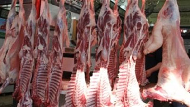 وزارة التموين 