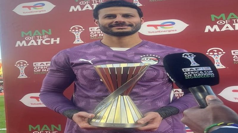 محمد الشناوي 