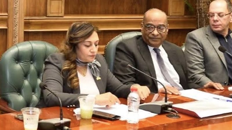 النائبة ايفا فارس