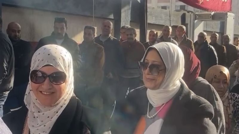 دمنهور في الانتخابات