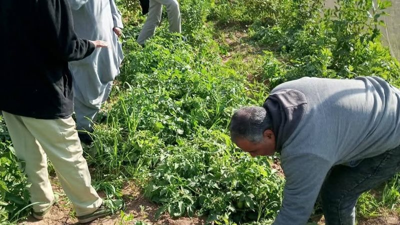 جولة وزير الزراعة