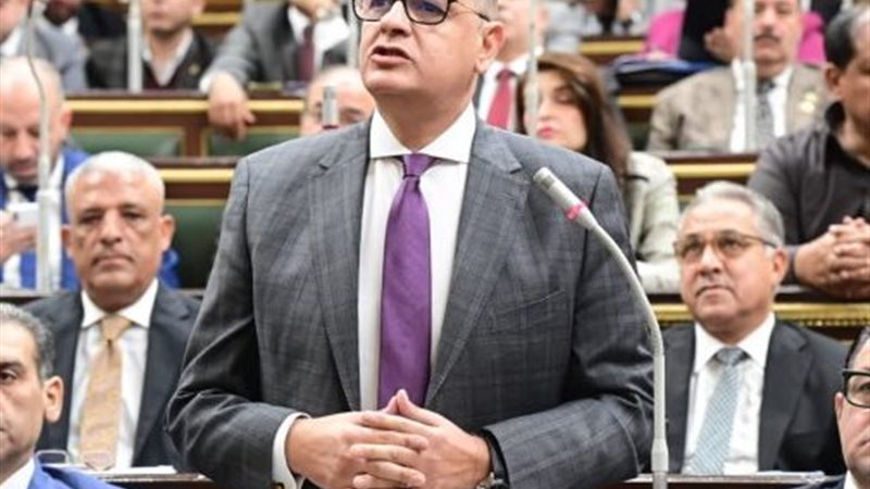 النائب طارق رضوان