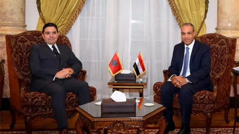 وزير الخارجية المصري