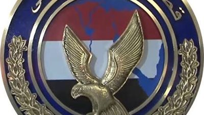 بسبب النصب والإحتيال على المواطنين.. القبض علي 13 شخص يحملون الجنسية الأجنبية 