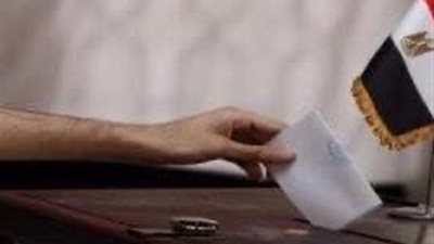 السفارات المصرية في 4 دول تفتح لجان التصويت للمصريين بالخارج