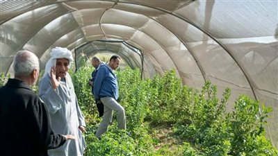 الصادرات الزراعية المصرية تتوسع.. فتح أسواق جديدة بجمهورية الدومينكان