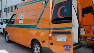 بسبب الكلاب الضالة.. إصابة طالب جامعي صدمه أتوبيس في المعادي