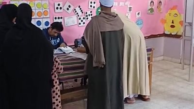 إقبال كبير على اللجان الانتخابية بأسوان للمشاركة في الانتخابات البرلمانية