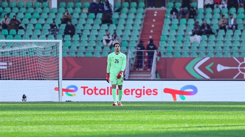 مصطفى شوبير