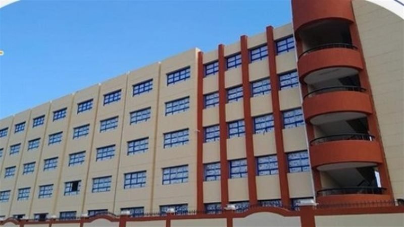 المدارس المصرية اليابانية