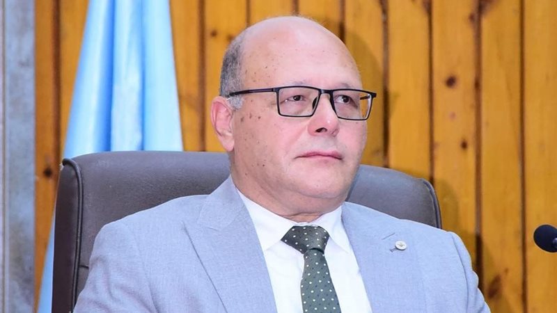 الدكتور حسان النعمانى