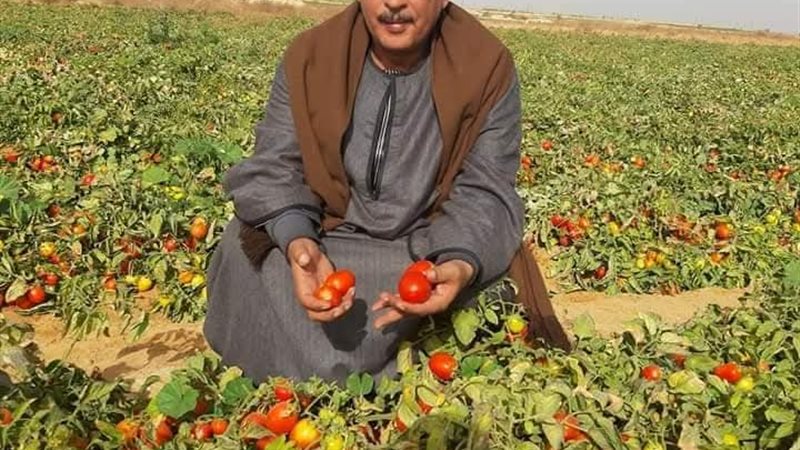 حسين أبو صدام 