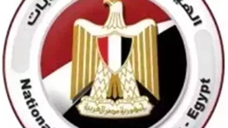 الهيئة الوطنية للانتخابات