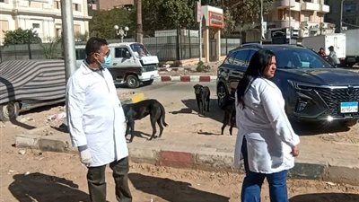 سوهاج تطلق حملة تحصين شاملة لكلاب الشوارع للحد من السعار