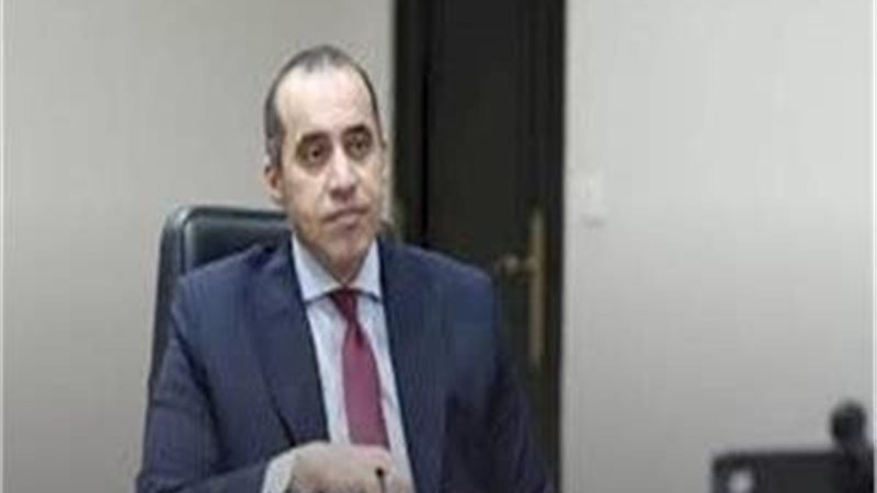 المستشار محمود فوزي،