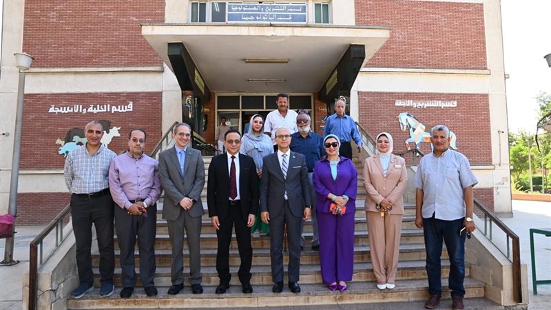 معهد جنوب مصر للأورام