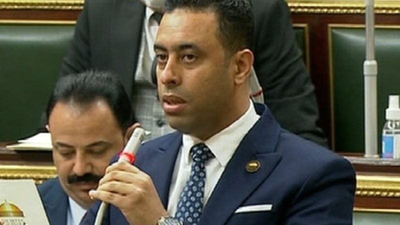 النائب احمد فرغلي