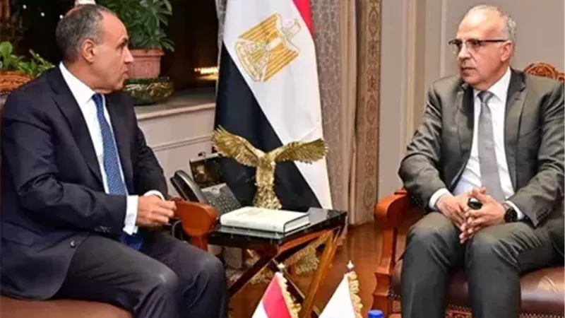 هاني سويلم - بدر