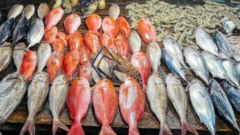 أسعار الأسماك
