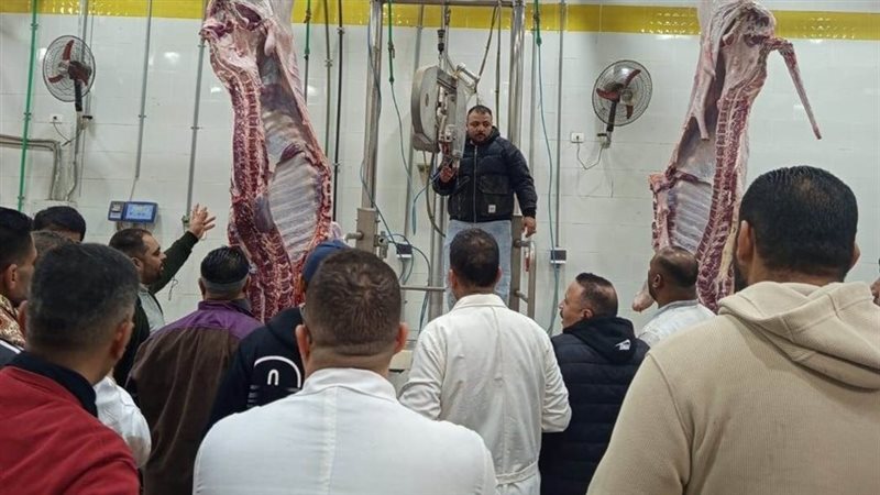 جانب من الفاعليات