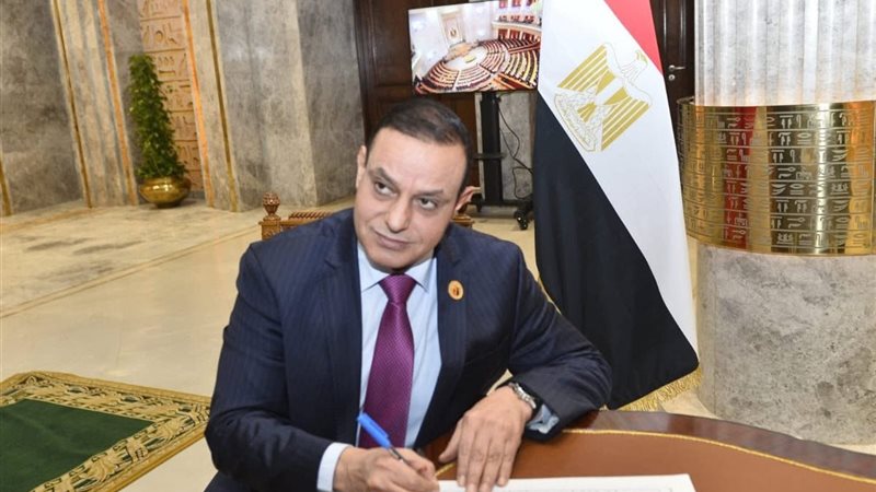 النائب همام 