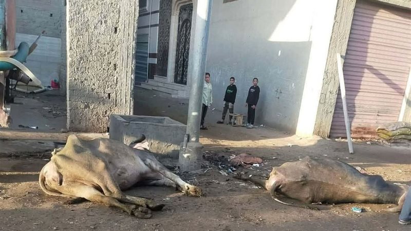 صورة من الحادث 