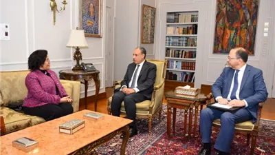 مصر تضع مشروعي «الربط الملاحي» و«القاهرة–كيب تاون» في صدارة أولويات التنمية الإفريقية