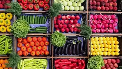 أسعار الخضروات والفاكهة اليوم الأحد 18 يناير 2026