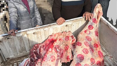 ضبط 5 طن ونصف لحوم ودواجن وأسماك غير صالحة للاستهلاك الآدمى بالمنوفية 