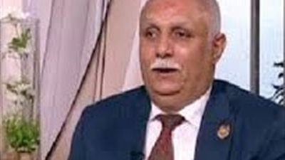 رئيس شعبة المواد الغذائية: مصر تدخل عصره الذهبي في الأمن الغذائي