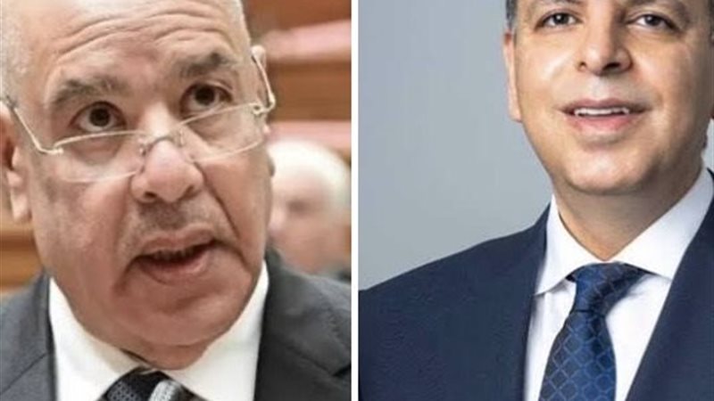 محمود سامي وهشام