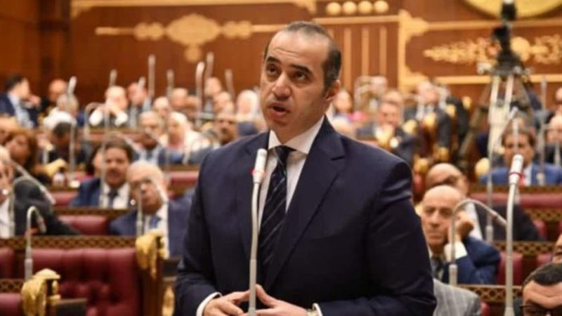 المستشار محمود فوزي