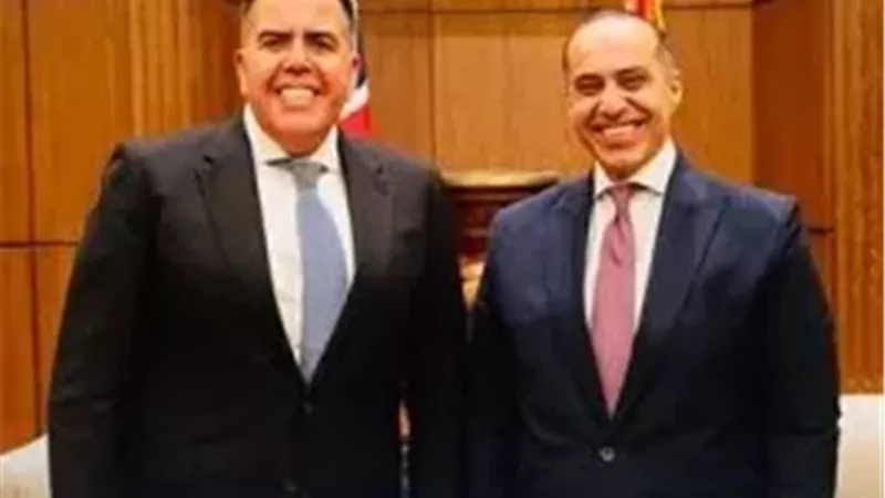 وزير الشؤون النيابية