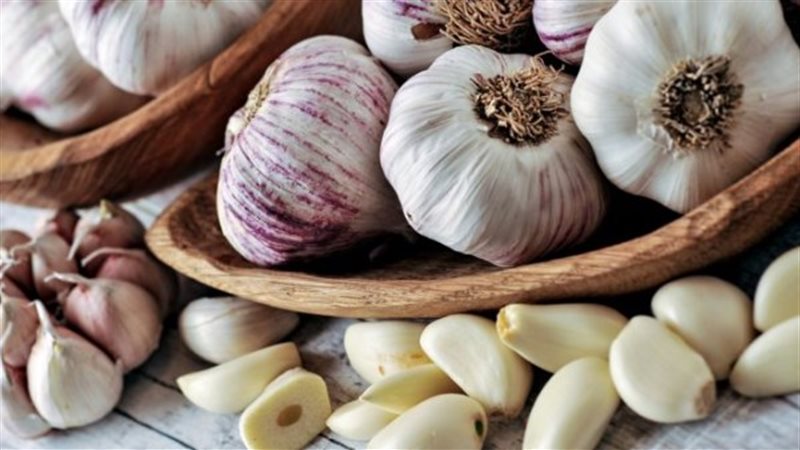 صادرات مصر من الثوم