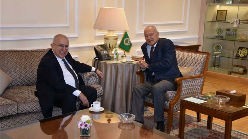 أبو الغيط ومبعوث