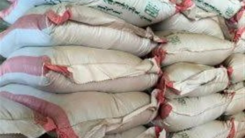 مباحث التموين 