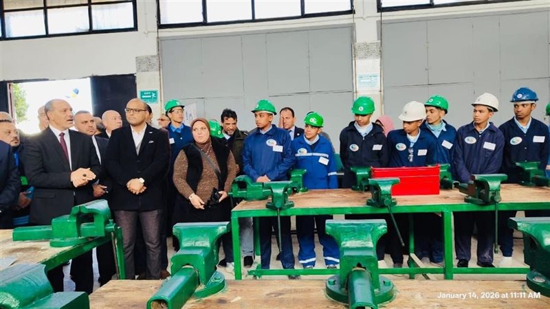 تعليم الإسكندرية