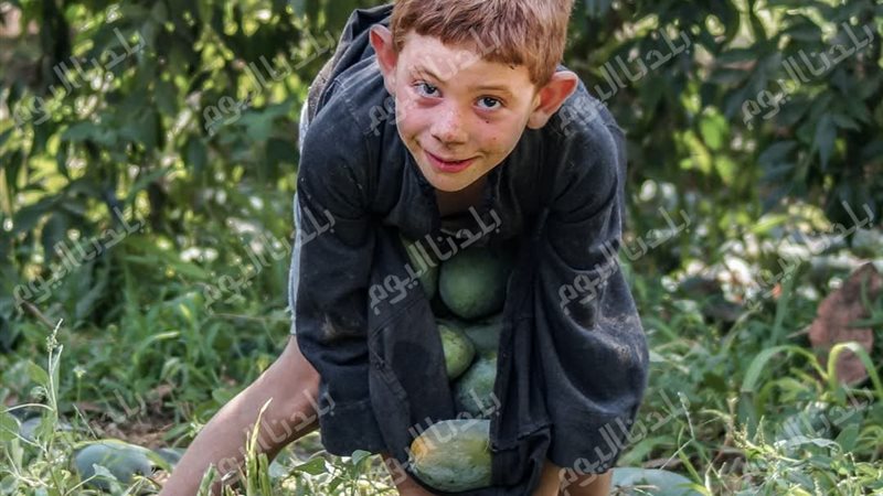 بلدنا اليوم