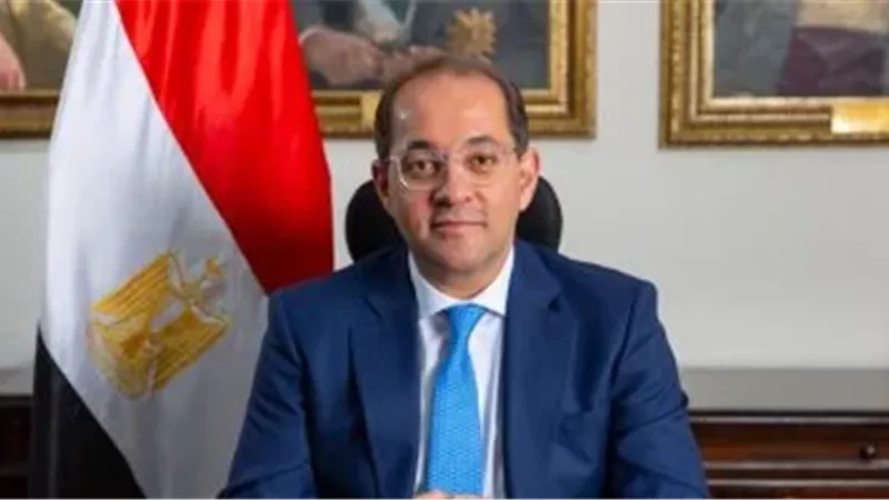 وزير المالية 