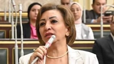 برلمانية تتقدم بسؤال للحكومة بشأن اللجان المرورية 